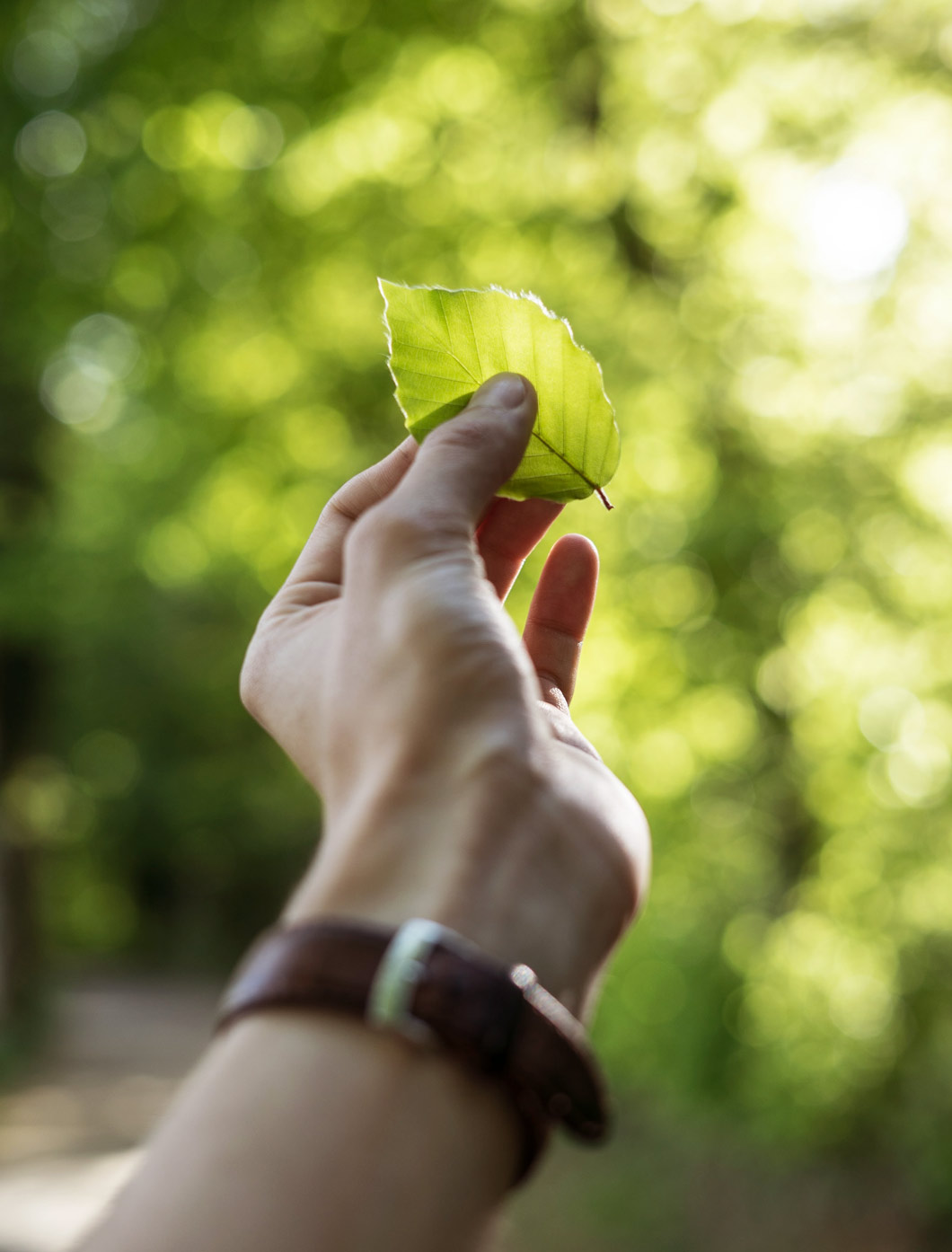 03_home_certificazione_b-corp