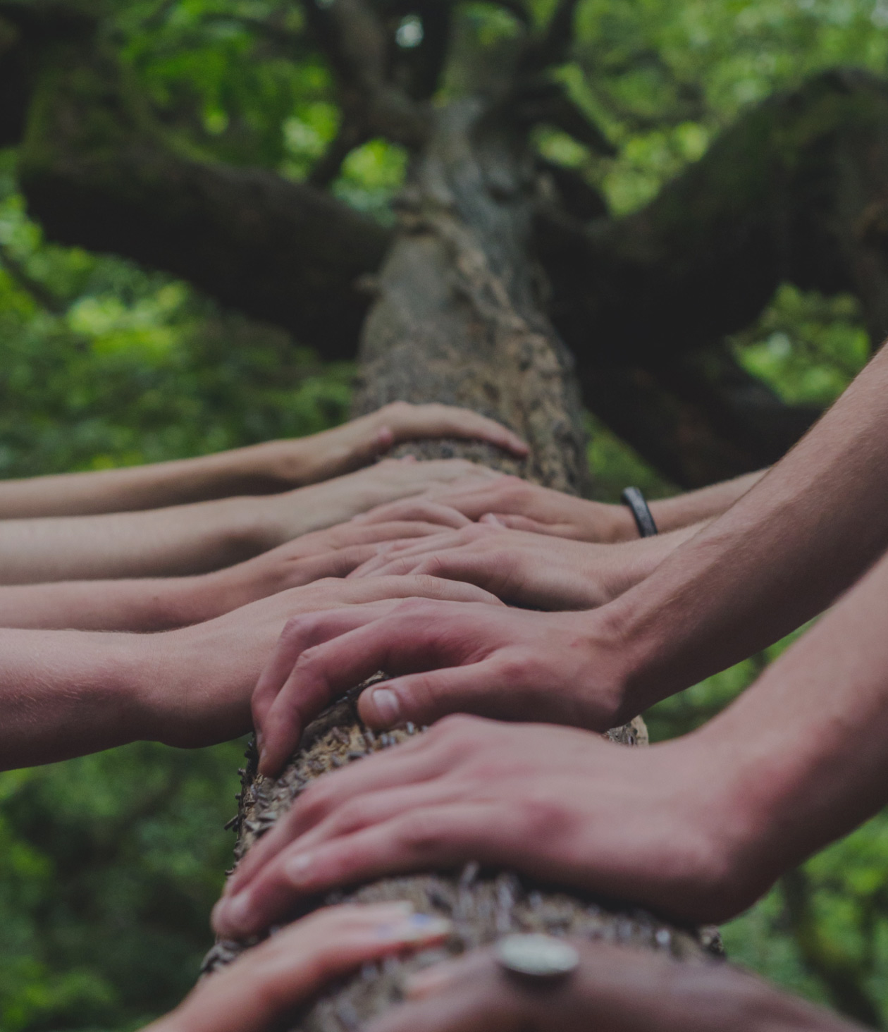 cover_certificazioni